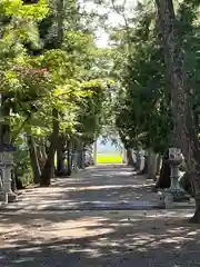 志那神社(滋賀県)