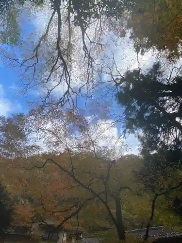 貴船神社の景色