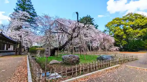 弘法寺の庭園