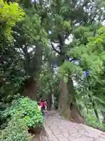 熊野那智大社(和歌山県)