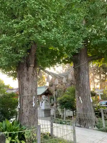 亀ケ池八幡宮の自然
