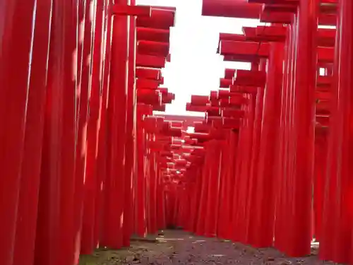 小泉稲荷神社の鳥居