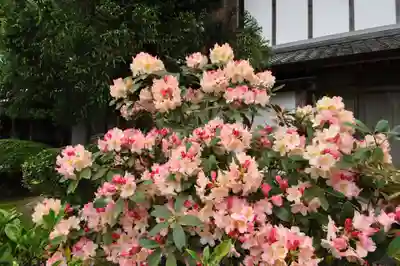 神恵院(香川県)