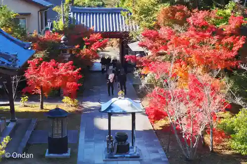 太山寺(兵庫県)