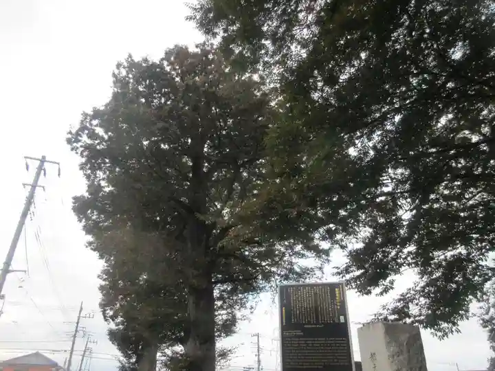 梅岩寺(東京都)