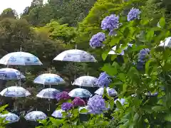 柳谷観音　楊谷寺(京都府)