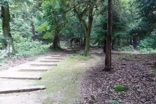 白鬚神社の建物その他