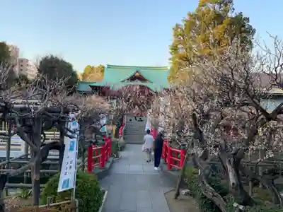 亀戸天神社のその他建物