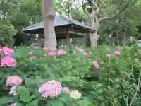 藤森神社の庭園