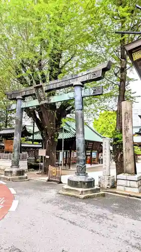 湯島天満宮の鳥居