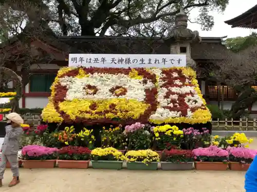 太宰府天満宮の庭園