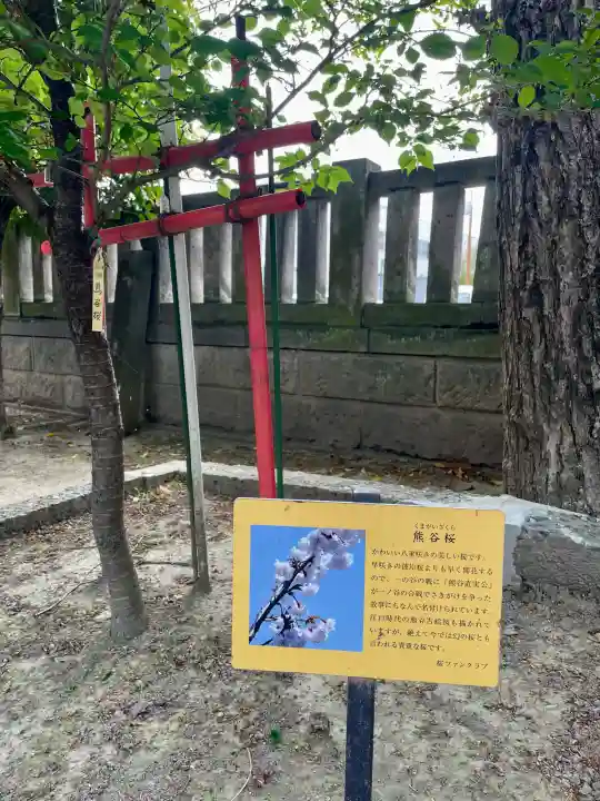 伊奈利神社の{uncategorized: "未分類", other: "その他", undefined: "問題あり", building: "その他建物", grave: "お墓", sacred_gate: "鳥居", guardian: "狛犬", statue: "像", buddha: "仏像", history: "歴史", nature: "自然", garden: "庭園", animal: "動物", pagoda: "塔", temizu: "手水舎", mountain_gate: "山門・神門", sanctuary: "本殿・本堂", subordinate: "末社・摂社", art: "芸術", scenery: "景色", jizo: "地蔵", ema: "絵馬", goshuin: "御朱印", omikuji: "おみくじ", items: "授与品その他", amulet: "お守り", goshuincho: "御朱印帳", eats: "食事", festival: "お祭り", votive_dance: "神楽", shichigosan: "七五三参", wedding: "結婚式", experience: "体験その他", initially: "初詣", around: "周辺", anti_infection: "感染症対策"}