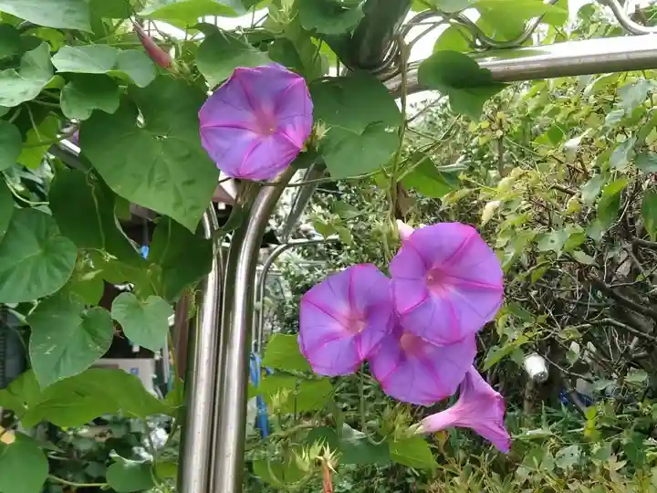 香取神社の自然