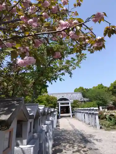 比佐豆知神社(三重県)