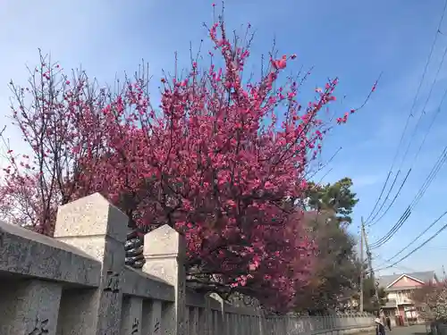 御厨神社(兵庫県)