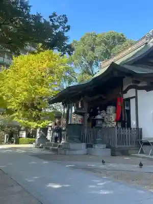 松戸神社(千葉県)