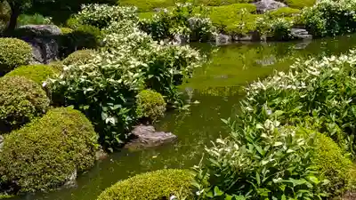 両足院(京都府)