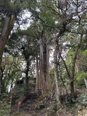 圓教寺(兵庫県)