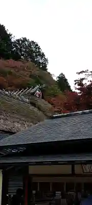 古峯神社の{uncategorized: "未分類", other: "その他", undefined: "問題あり", building: "その他建物", grave: "お墓", sacred_gate: "鳥居", guardian: "狛犬", statue: "像", buddha: "仏像", history: "歴史", nature: "自然", garden: "庭園", animal: "動物", pagoda: "塔", temizu: "手水舎", mountain_gate: "山門・神門", sanctuary: "本殿・本堂", subordinate: "末社・摂社", art: "芸術", scenery: "景色", jizo: "地蔵", ema: "絵馬", goshuin: "御朱印", omikuji: "おみくじ", items: "授与品その他", amulet: "お守り", goshuincho: "御朱印帳", eats: "食事", festival: "お祭り", votive_dance: "神楽", shichigosan: "七五三参", wedding: "結婚式", experience: "体験その他", initially: "初詣", around: "周辺", anti_infection: "感染症対策"}