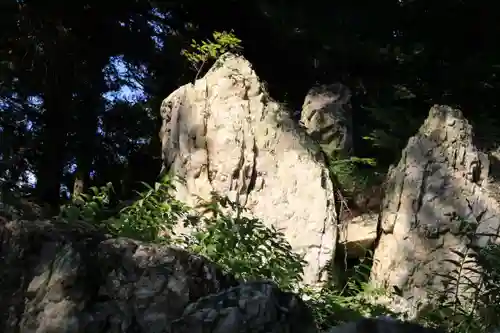 鹿島大神宮の自然