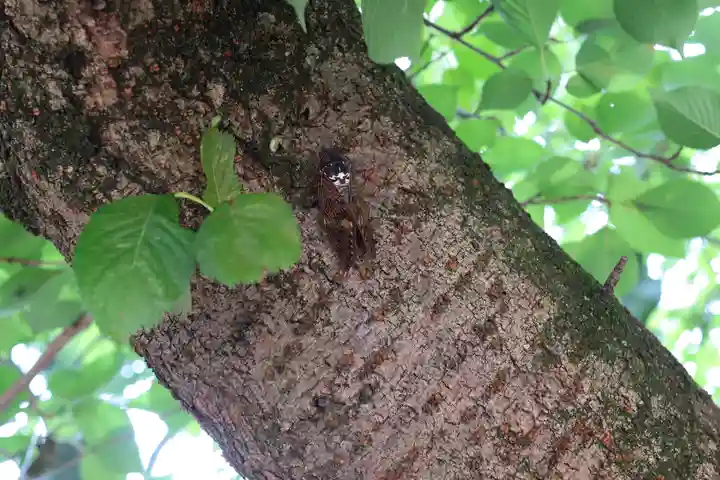 三津厳島神社(愛媛県)