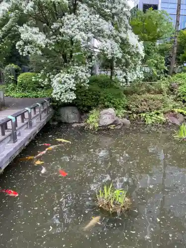 東郷神社の{uncategorized: "未分類", other: "その他", undefined: "問題あり", building: "その他建物", grave: "お墓", sacred_gate: "鳥居", guardian: "狛犬", statue: "像", buddha: "仏像", history: "歴史", nature: "自然", garden: "庭園", animal: "動物", pagoda: "塔", temizu: "手水舎", mountain_gate: "山門・神門", sanctuary: "本殿・本堂", subordinate: "末社・摂社", art: "芸術", scenery: "景色", jizo: "地蔵", ema: "絵馬", goshuin: "御朱印", omikuji: "おみくじ", items: "授与品その他", amulet: "お守り", goshuincho: "御朱印帳", eats: "食事", festival: "お祭り", votive_dance: "神楽", shichigosan: "七五三参", wedding: "結婚式", experience: "体験その他", initially: "初詣", around: "周辺", anti_infection: "感染症対策"}