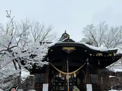 行田八幡神社の{uncategorized: "未分類", other: "その他", undefined: "問題あり", building: "その他建物", grave: "お墓", sacred_gate: "鳥居", guardian: "狛犬", statue: "像", buddha: "仏像", history: "歴史", nature: "自然", garden: "庭園", animal: "動物", pagoda: "塔", temizu: "手水舎", mountain_gate: "山門・神門", sanctuary: "本殿・本堂", subordinate: "末社・摂社", art: "芸術", scenery: "景色", jizo: "地蔵", ema: "絵馬", goshuin: "御朱印", omikuji: "おみくじ", items: "授与品その他", amulet: "お守り", goshuincho: "御朱印帳", eats: "食事", festival: "お祭り", votive_dance: "神楽", shichigosan: "七五三参", wedding: "結婚式", experience: "体験その他", initially: "初詣", around: "周辺", anti_infection: "感染症対策"}