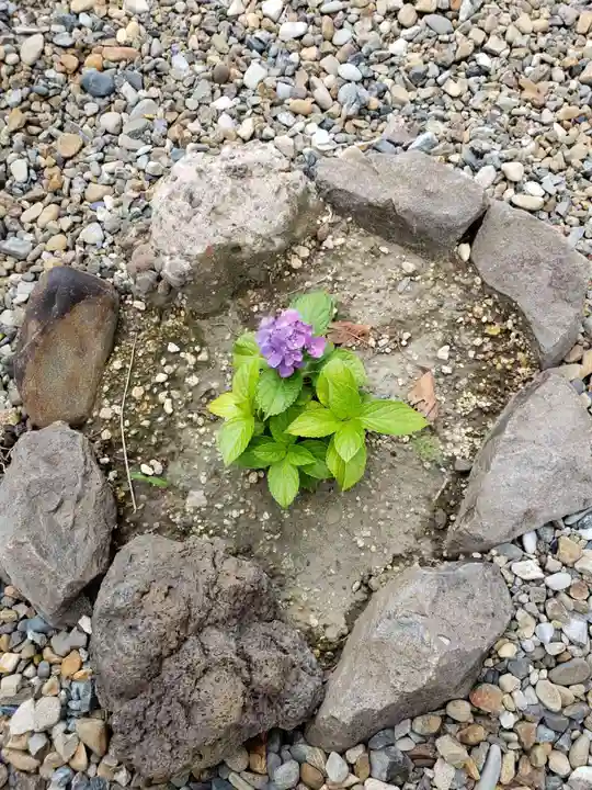 磐井神社(東京都)
