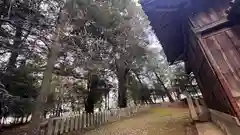 大歳神社(兵庫県)