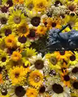 札幌諏訪神社の手水舎