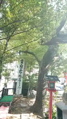 若一神社の{uncategorized: "未分類", other: "その他", undefined: "問題あり", building: "その他建物", grave: "お墓", sacred_gate: "鳥居", guardian: "狛犬", statue: "像", buddha: "仏像", history: "歴史", nature: "自然", garden: "庭園", animal: "動物", pagoda: "塔", temizu: "手水舎", mountain_gate: "山門・神門", sanctuary: "本殿・本堂", subordinate: "末社・摂社", art: "芸術", scenery: "景色", jizo: "地蔵", ema: "絵馬", goshuin: "御朱印", omikuji: "おみくじ", items: "授与品その他", amulet: "お守り", goshuincho: "御朱印帳", eats: "食事", festival: "お祭り", votive_dance: "神楽", shichigosan: "七五三参", wedding: "結婚式", experience: "体験その他", initially: "初詣", around: "周辺", anti_infection: "感染症対策"}