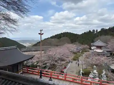 南法華寺（壷阪寺）(奈良県)