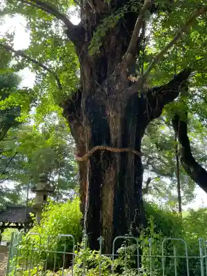 鞆江神社(明地)(愛知県)