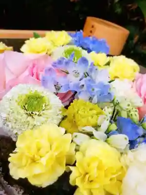 本郷氷川神社(東京都)