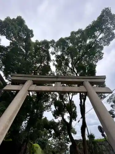 和歌山縣護國神社の鳥居