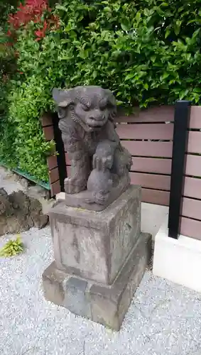 太田杉山神社・横濱水天宮の狛犬