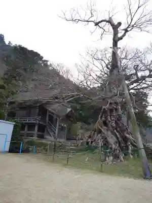 神魂伊能知奴志神社(島根県)