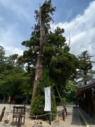 吉備津彦神社の自然
