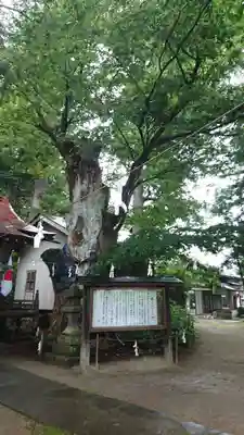 鹿嶋神社の自然