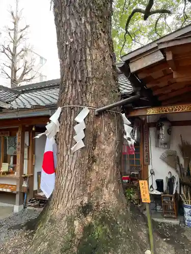 若一神社の自然