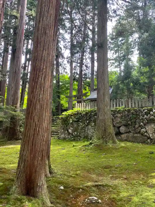 平泉寺白山神社(福井県)