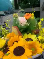 彌都加伎神社の手水舎