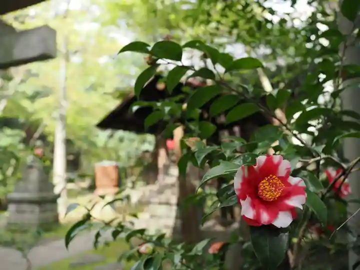 四合稲荷神社(東京都)