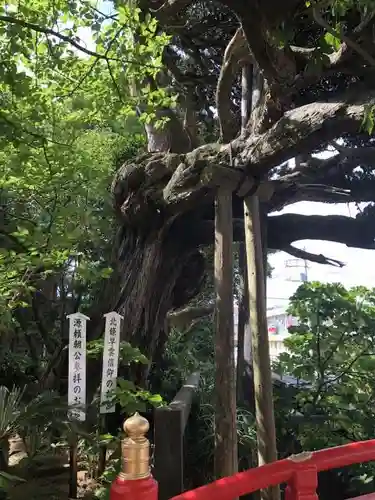 伊古奈比咩命神社の建物その他