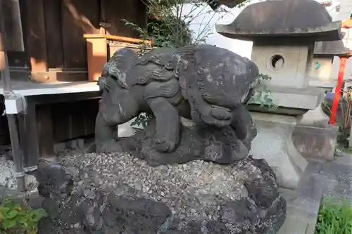 大島稲荷神社の狛犬