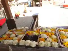 草加神社の手水