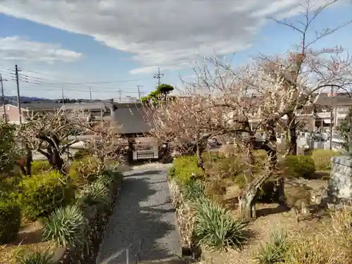 高正寺の山門