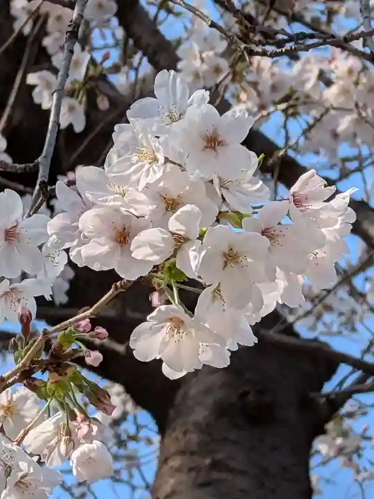 多田神社(東京都)