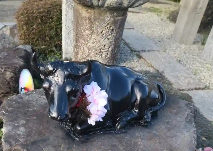 大松禅寺(京都府)