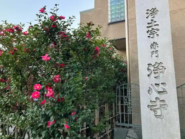 浄心寺の{uncategorized: "未分類", other: "その他", undefined: "問題あり", building: "その他建物", grave: "お墓", sacred_gate: "鳥居", guardian: "狛犬", statue: "像", buddha: "仏像", history: "歴史", nature: "自然", garden: "庭園", animal: "動物", pagoda: "塔", temizu: "手水舎", mountain_gate: "山門・神門", sanctuary: "本殿・本堂", subordinate: "末社・摂社", art: "芸術", scenery: "景色", jizo: "地蔵", ema: "絵馬", goshuin: "御朱印", omikuji: "おみくじ", items: "授与品その他", amulet: "お守り", goshuincho: "御朱印帳", eats: "食事", festival: "お祭り", votive_dance: "神楽", shichigosan: "七五三参", wedding: "結婚式", experience: "体験その他", initially: "初詣", around: "周辺", anti_infection: "感染症対策"}